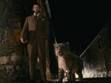 Превью кадра #37888 из фильма "Золотой Компас"  (2007)