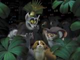 Превью кадра #39227 из мультфильма "Мадагаскар"  (2005)
