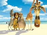 Превью кадра #39246 из мультфильма "Мадагаскар"  (2005)