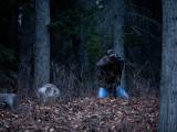 Превью кадра #48783 из фильма "Мерзлая земля"  (2013)