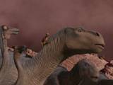 Превью кадра #57169 из мультфильма "Динозавр"  (2000)