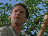 Превью кадра #61672 из фильма "Правила виноделов"  (1999)