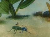 Превью кадра #62112 из мультфильма "Путешествие муравья" (1983)