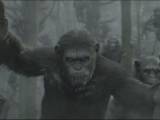 Кадры к фильму "Планета обезьян: Революция"