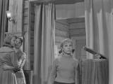 Превью кадра #70951 из фильма "Девчата"  (1961)