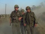 Кадры к подборке фильмов Какие лучшие фильмы про войну во Вьетнаме стоит посмотреть?