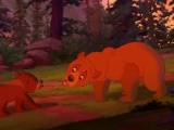 Превью кадра #83777 из мультфильма "Братец медвежонок"  (2003)