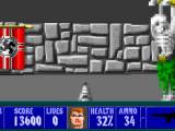 Превью скриншота #93403 из игры "Wolfenstein 3D"  (1992)