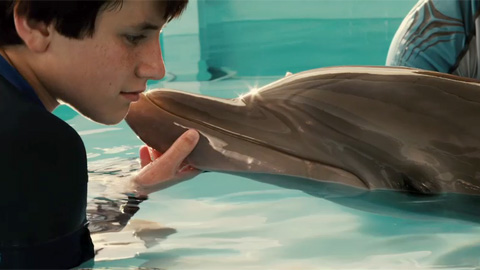 Кадр к фильму История дельфина / Dolphin Tale