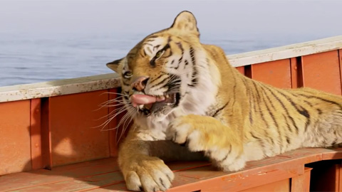 Кадр к фильму Жизнь Пи / Life of Pi