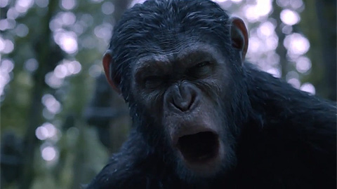 Отрывок №1 из фильма "Планета обезьян: Революция"