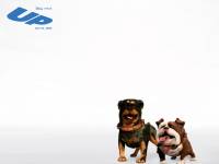 Обои N91 к мультфильму "Вверх" (2009)
