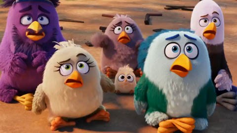 Трейлер №3 мультфильма "Angry Birds в кино"