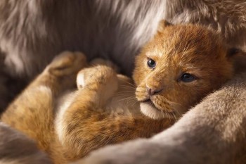 "Король лев" вошел в десятку самых кассовых кинопроектов