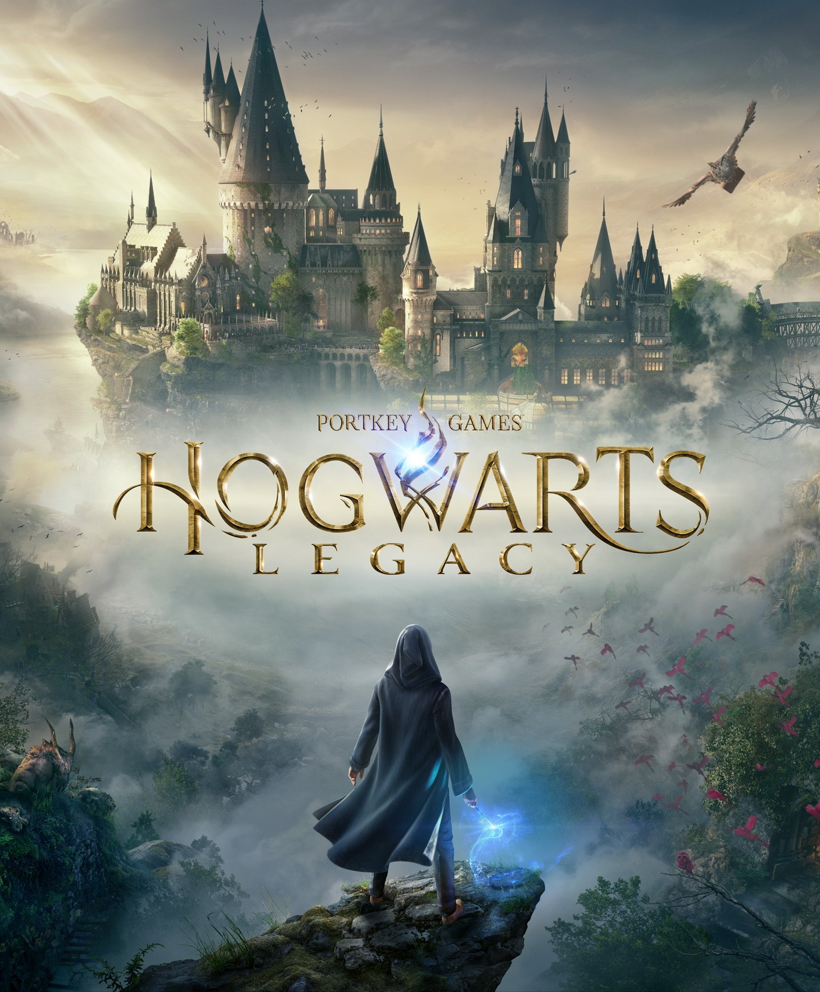 Hogwarts Legacy: постер N208583
