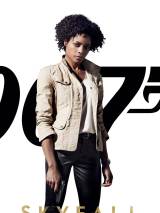 Превью постера #37513 к фильму "007: Координаты "Скайфолл""  (2012)