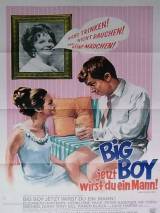 Превью постера #44351 к фильму "Ты теперь большой мальчик" (1966)