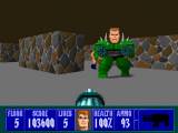 Превью скриншота #93404 к игре "Wolfenstein 3D" (1992)